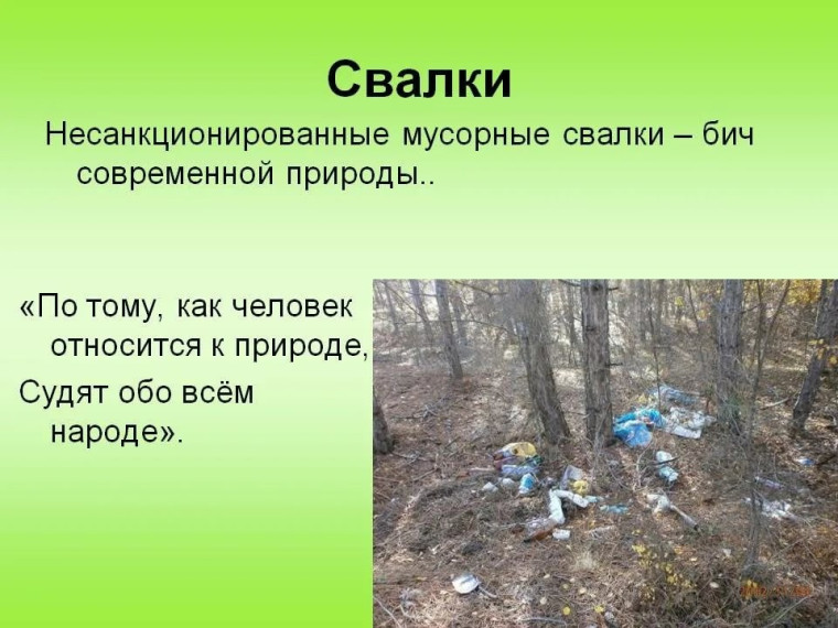 Свалки. Свалки.